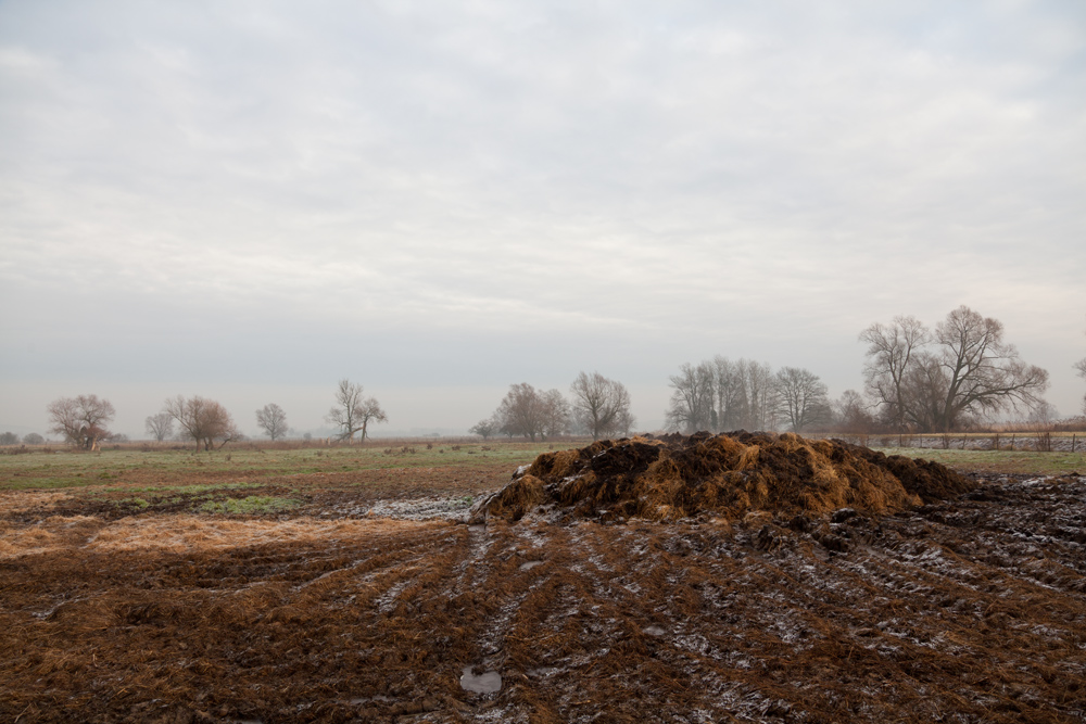 Headline News Ispumare